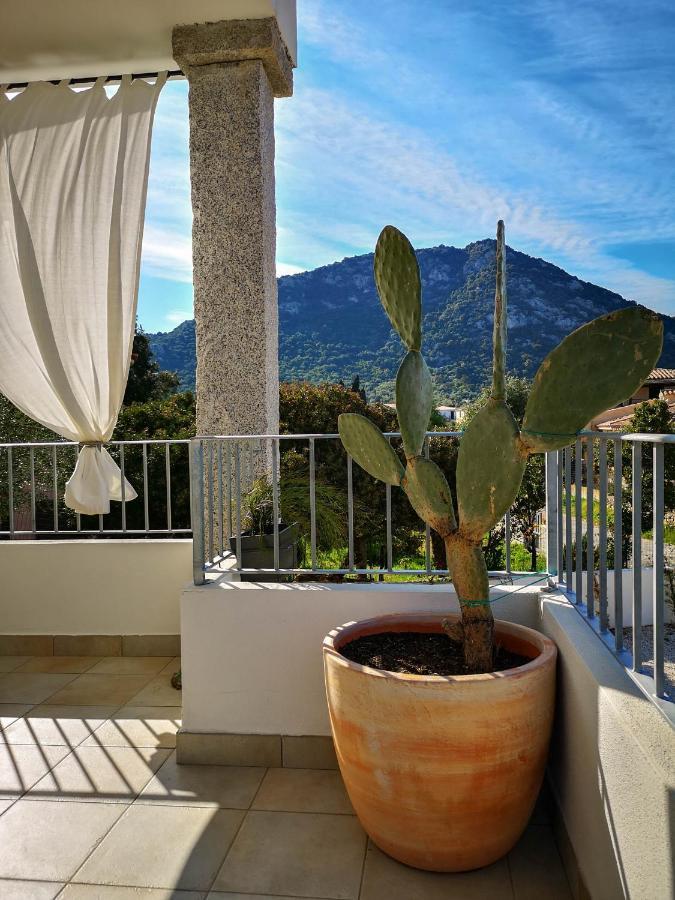 B&B Limone Сан-Теодоро Экстерьер фото
